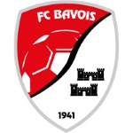 Home Team Flag