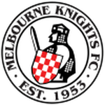 Home Team Flag