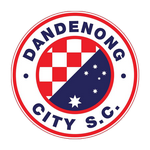 Home Team Flag