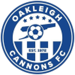 Away Team Flag
