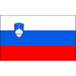 Away Team Flag