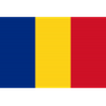 Home Team Flag