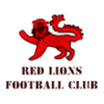 Away Team Flag