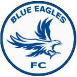 Home Team Flag
