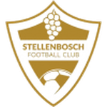 Home Team Flag