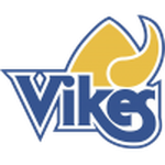 Home Team Flag