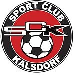 Home Team Flag