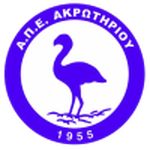Home Team Flag