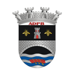 Home Team Flag