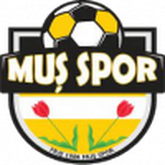 Home Team Flag