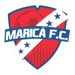 Away Team Flag
