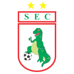 Home Team Flag