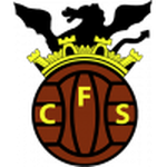 Home Team Flag