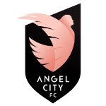 Away Team Flag
