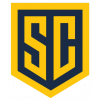 Away Team Flag