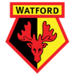 Home Team Flag