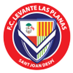 Home Team Flag