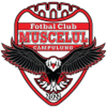 Home Team Flag