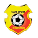Home Team Flag