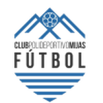 Home Team Flag