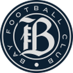Home Team Flag