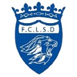 Home Team Flag