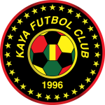 Home Team Flag