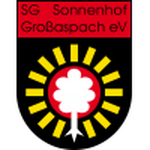 Away Team Flag