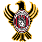 Home Team Flag