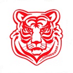 Away Team Flag