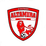 Home Team Flag