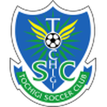 Away Team Flag