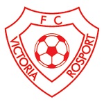 Home Team Flag