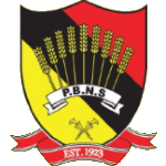 Home Team Flag
