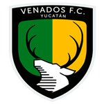 Home Team Flag