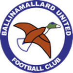 Home Team Flag