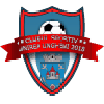 Away Team Flag