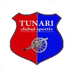 Home Team Flag