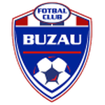 Home Team Flag