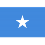 Home Team Flag