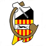 Home Team Flag