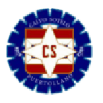 Home Team Flag