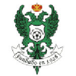 Home Team Flag