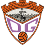 Home Team Flag