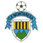 Away Team Flag