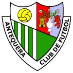 Home Team Flag