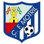Home Team Flag