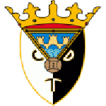 Home Team Flag