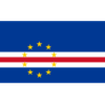 Away Team Flag
