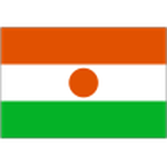 Home Team Flag